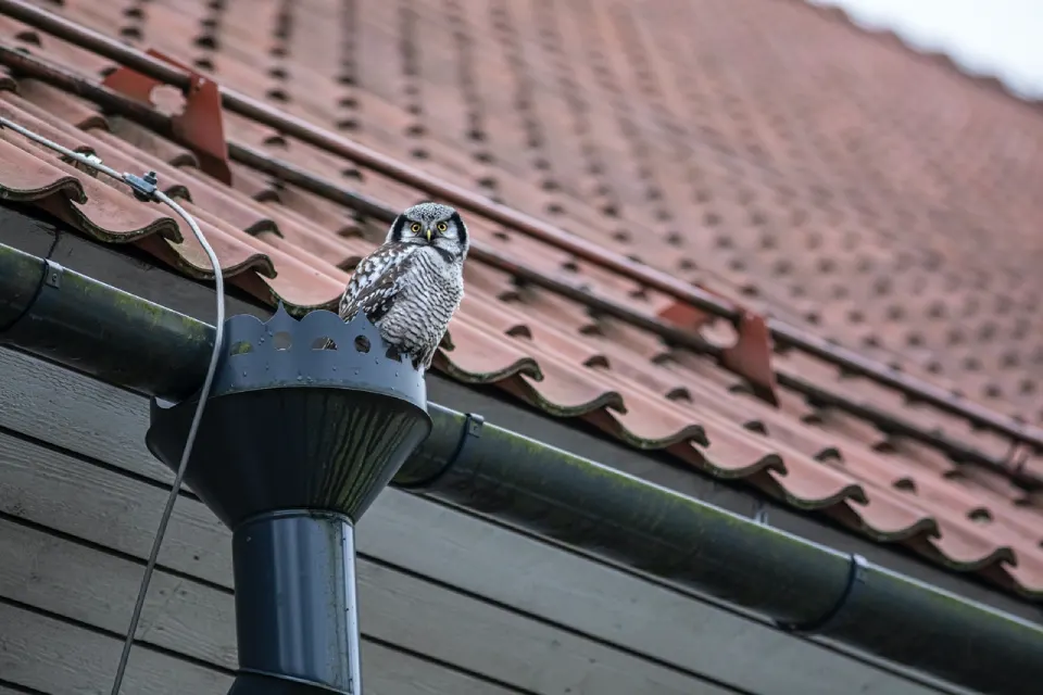 Central Ohio Residential Gutter Contractors