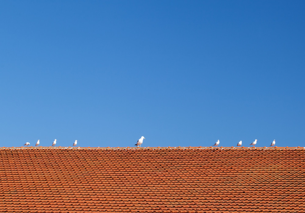 best roofer