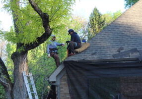 Columbus Ohio roof inspection