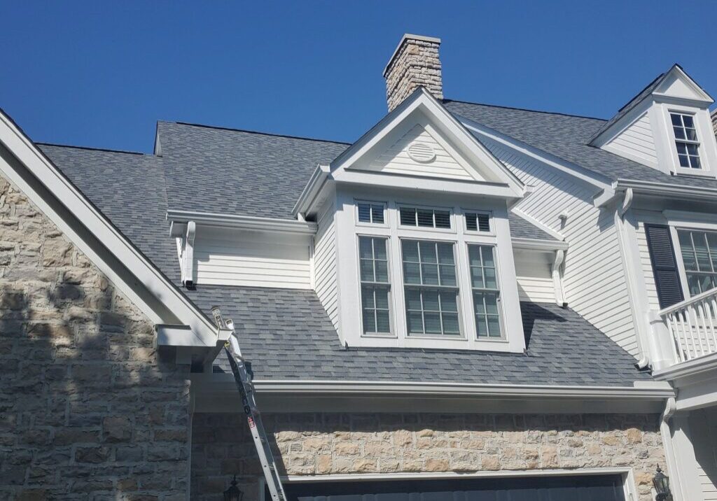 img_8560954142017368213